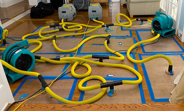 Professional Crawl Space Water Removal technician working in Hematite, MO